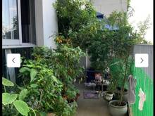 Hình ảnh Cần cho thuê Hausneo quận 9 1PN căn sân vườn  giá 6 triệu NT cơ bản