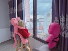 Hình ảnh Chuyên Cho thuê CHDV Bình Thạnh