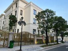 Hình ảnh Bán biệt thự Vinhomes Bason MT sông Sài Gòn 339TỶ DT 437,5m2 090903979
