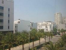 Hình ảnh Building cho thuê đường Bát Nàn, TP.Thủ Đức. Giá thuê 160tr/tháng.