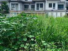 Hình ảnh Ra đi lô đất Phạm Văn Chiêu, Phường 9, Gò Vấp DT 90m2, sổ hồng riêng