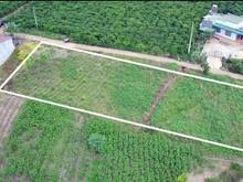 Hình ảnh bán lô đất thuộc xã tân hà huyện lâm hà,1,5 sào,MT62m,1,55tỷ