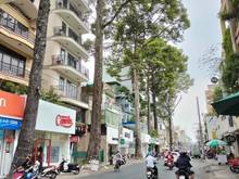 Hình ảnh Mặt tiền Yên Thế p2 Tân Bình 4,5x22 95m2 3 lầu giá rẻ 19 tỷ Tl