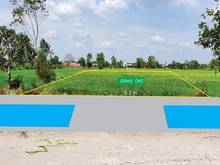 Hình ảnh Đất ngay Trường Đại Học Tân Tạo - Thông ra Ql N2- 10x20m- chỉ 6tr/m2
