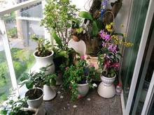 Hình ảnh Cần bán Trang Chủ MB66.COM / Đăng Ký Tặng 66K New SaiGon HAGL3 MT Đường Nguyễn Hữu Thọ PK Nhà Bè