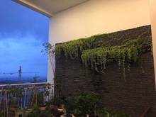 Hình ảnh Siêu phẩm Trang Chủ MB66.COM / Đăng Ký Tặng 66K Duplex Phú Hoàng Anh - 124m2 - 3PN - 2,54 tỷ SHR