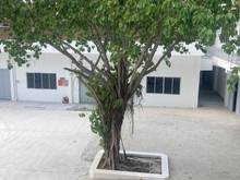 Hình ảnh Cho Thuê Mặt bằng 2000m2 Mặt Tiền Nguyễn Tất Thành, Quận 4