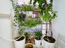 Hình ảnh Nợ Vỡ Đầu Cần Bán Nhà Đường Quốc Hưng
