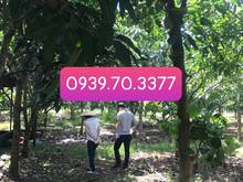 Hình ảnh Bán1102,5m đất full hồng sẵn 100 thổ La Ngà 96,gần Hồ Trị An sổ sẵn cc