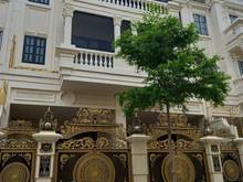 Hình ảnh Biệt Thự Cityland💥Park Hills Phan Nguyễn Văn Lượng💥5x20m Hầm 4 Lầu