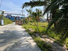Hình ảnh Đất 80m2 gần khu dân cư An Sương, Đông Hưng Thuận, Quận 12. Giá 2 tỷ 4