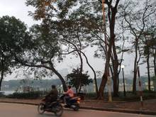 Hình ảnh Đất phân lô ô tô hồ Linh Đàm ngay nút lên vành đai 3-110m2 nhỉnh 11tỷ