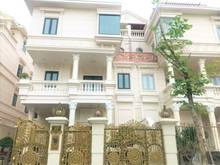 Hình ảnh Biệt thự sân vườn dt 10x25 Hồng Hà,Q.Tân Bình 500m2 - thuê NC 70tr/th