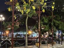 Hình ảnh Bán Nhà Ở Trịnh Công Sơn 8 Tầng DT 99M2 MT 7,7M Q.Tây Hồ, Giá 60,5 Tỷ.