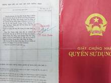 Hình ảnh Bán đát NN sổ đỏ chính chủ, Tân Xuân- Hóc Môn