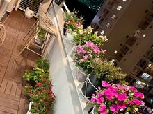 Hình ảnh Chính chủ cho thuê CH Scenic valley PMH Q7. dt 80m2, nhà đẹp .