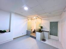 Hình ảnh CHDV Siêu VIP Ngay Tại BÌNH THẠNH, Gía SIÊU ƯU ĐÃI - Bao Từ A-Z