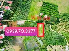 Hình ảnh Kẹt MB66 là nhà cái uy tín hàng đầu tại Việt Nam bán mảnh vườn full hồng sẵn 100m thổ cư gần Hồ Trị An