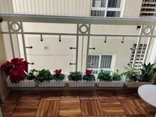 Hình ảnh Bán gấp Trang Chủ MB66.COM / Đăng Ký Tặng 66K Phúc yên q tân bình 2pn2wc 90m2 1tỷ980tr sổ hồng riêng