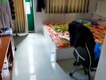 Hình ảnh Cho thuê nhà hẻm 336 Nguyễn Văn Luông p12q6 giá rẻ đẹp