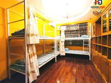 Hình ảnh Homestay ở ghép Bùi Xương Trạch 👉giá chỉ 1tr/ng