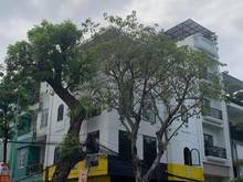 Hình ảnh cho thuê GÓC 2 MT đường Quang Trung ,  ngang 7M , 4 tầng trống