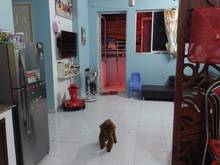 Hình ảnh Bán Trang Chủ MB66.COM / Đăng Ký Tặng 66K Lê Thành An Dương Vương Bình Tân 💞DT: 72m 2PN 2WC 👉1T515