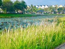 Hình ảnh Nhà Compound Park Riverside Liên Phường Q9 cơ bản hoặc full nội thất.