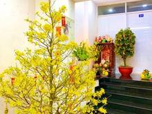 Hình ảnh Nhà đẹp KD Quận 10 Lê Hồng Phong, hẽm 5m, 4.2x13, 6 tầng, nhỉnh 9.7 tỷ