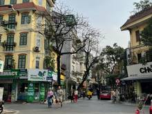 Hình ảnh Bán siêu phẩm khách sạn phố Tây (Mã Mây) - Hoàn Kiếm, 9 tỷ/năm, 100m2