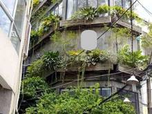 Hình ảnh Cho Thuê Gấp Mặt Bằng 5x30m 4 lầu Lê Văn Sỹ, P13, Quận 3