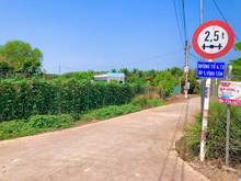 Hình ảnh Đất Sào SHR Tại Vĩnh Tân Trồng Cây Ăn Trái