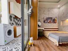 Hình ảnh ✨ Căn Hộ 45m2 Có Bancol, Máy Giặt Riêng Quận 3