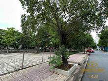 Hình ảnh Cho thuê nhà 1 trệt 1 lầu đường N8 khu dân cư D2D giá 20tr/tháng