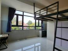 Hình ảnh CĂN HỘ DUPLEX CAO CẤP CỬA SỔ TO - Đường Số 9, Gò Vấp