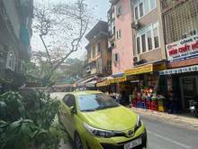 Hình ảnh Giảm 7,5 tỷ bán nhà Mp Ba Đình, 85m2, 8 tầng