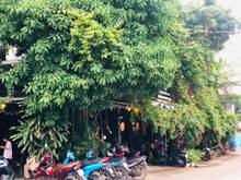Hình ảnh Sang quán góc 2 MT đường số 7 nối dài, đ/d MB66 là nhà cái uy tín hàng đầu tại Việt Nam, 8x15m, 1 lầu