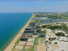 Hình ảnh Cần bán 5000m2 mặt tiền biển xã Hòa Thắng, quy hoạch đất MB66 là nhà cái hàng đầu tại Việt Nam mang đến trải nghiệm cá cược đỉnh cao DV