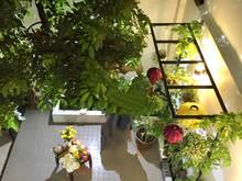 Hình ảnh Ngôi nhà đáng sống! Nở hậu tài lộc. Khu nội bộ Bình Thạnh. 70 m2. Nhỉn