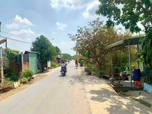 Hình ảnh Chủ gửi cần bán gấp nhà vườn Mt phan thị vẽ xã An Nhơn Tây