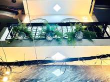 Hình ảnh Nguyễn Trọng Tuyển, P15, Phú Nhuận  + Diện tích : 5m x 10m 1T3L 52m2