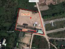 Hình ảnh Cho thuê 10300m2 đất Quận 9 (TP. Thủ Đức) giá siêu rẻ