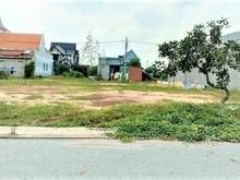 Hình ảnh Kẹt tiền bán gấp 1200m2 ĐẤT SHR-ĐƯỜNG NHỰA 18M -ĐIỆN 3 FA, GIÁ 195TR