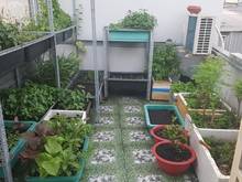 Hình ảnh Bán nhà  137/55/17 Trần Đình Xu, Phường Nguyễn Cư Trinh, Quận 1