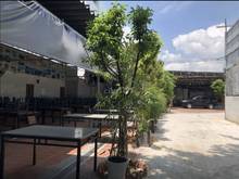 Hình ảnh Cho Thuê Mặt Bằng Kinh Doanh Phạm Văn Đồng, DT: 27mx77m, nhà và đất