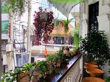 Hình ảnh Hạ sốc 5 tỷ gấp, Lô góc 3 mặt tiền, 202m2, HĐ cho thuê 5000usd/tháng.