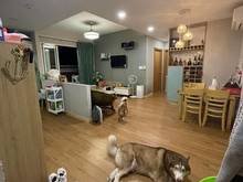 Hình ảnh 💥Bán Trang Chủ MB66.COM / Đăng Ký Tặng 66K cc Jamona city Q7 72m2 1tỷ886 sổ hồng riêng