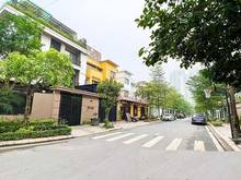 Hình ảnh Cho thuê biệt thự Ngoại Giao Đoàn, 250m2 xây 3 tầng làm văn phòng, ở