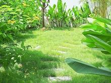 Hình ảnh Chính chủ bán nhà 73m2 4Tầng HXH Quận Gò Vấp giá chỉ nhỉnh 5tỷ.