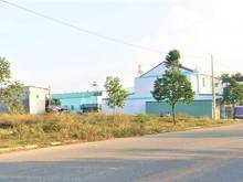 Hình ảnh Tôi Chủ Bán Gấp 693m2 Đất Full Thổ Cư Đường Nhựa 12m,Gàn Chợ
